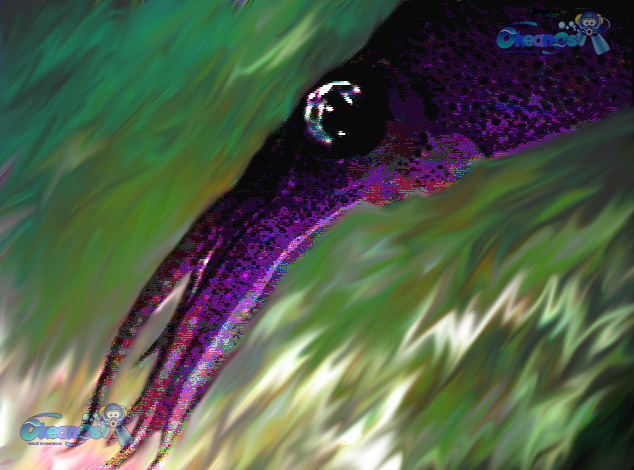 okeanos fine art prints/paisley squid